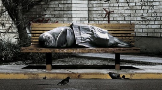 Homeless-Seal