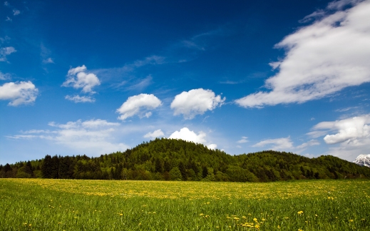 spring-nature-austria-austria-carinthia-austria-grass-green-landscape-grass-hills-greenery