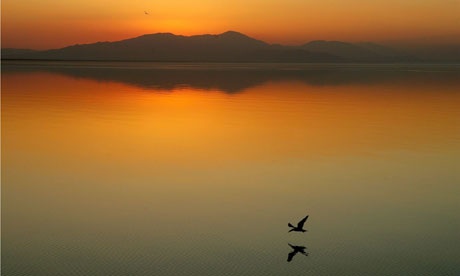 bird-at-sunset-006